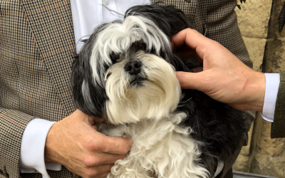 Are dogs ok at my Wedding Ceremony?
